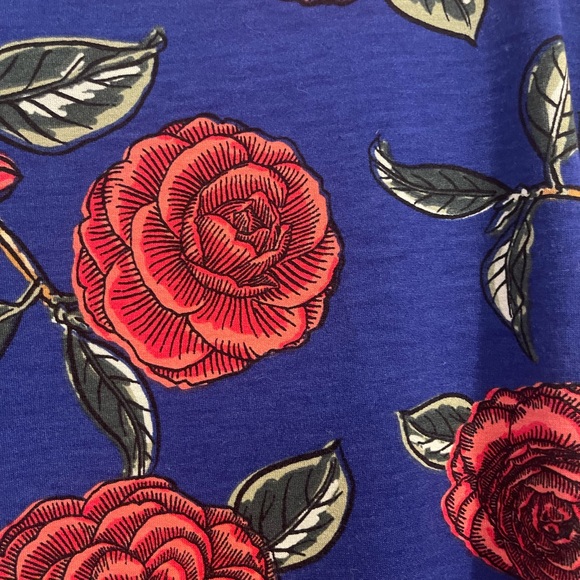 Lularoe Carly - Picture 3 of 3